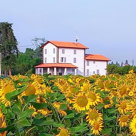 La Collinetta B&B Crespellano Kültér fotó