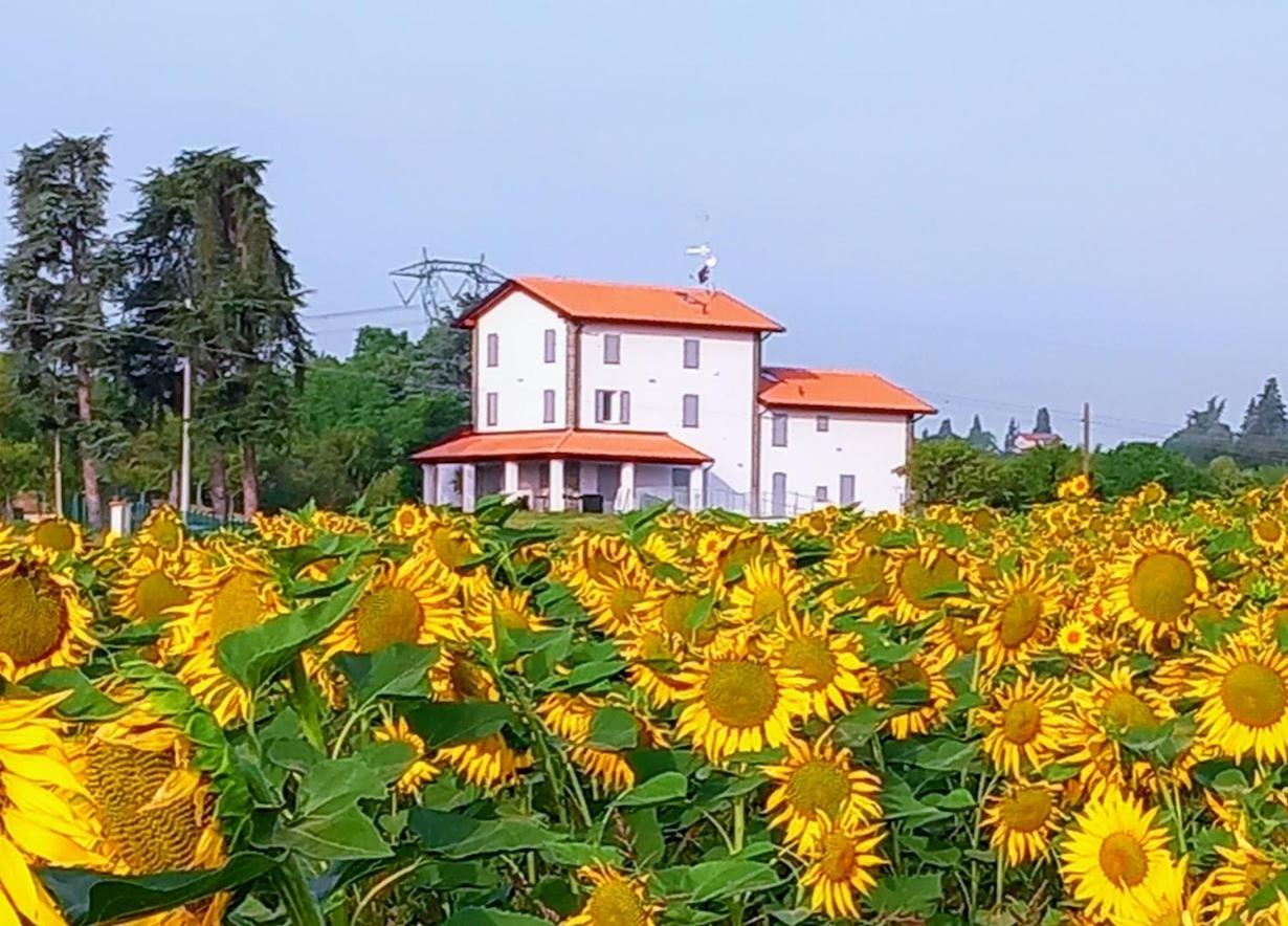 La Collinetta B&B Crespellano Kültér fotó