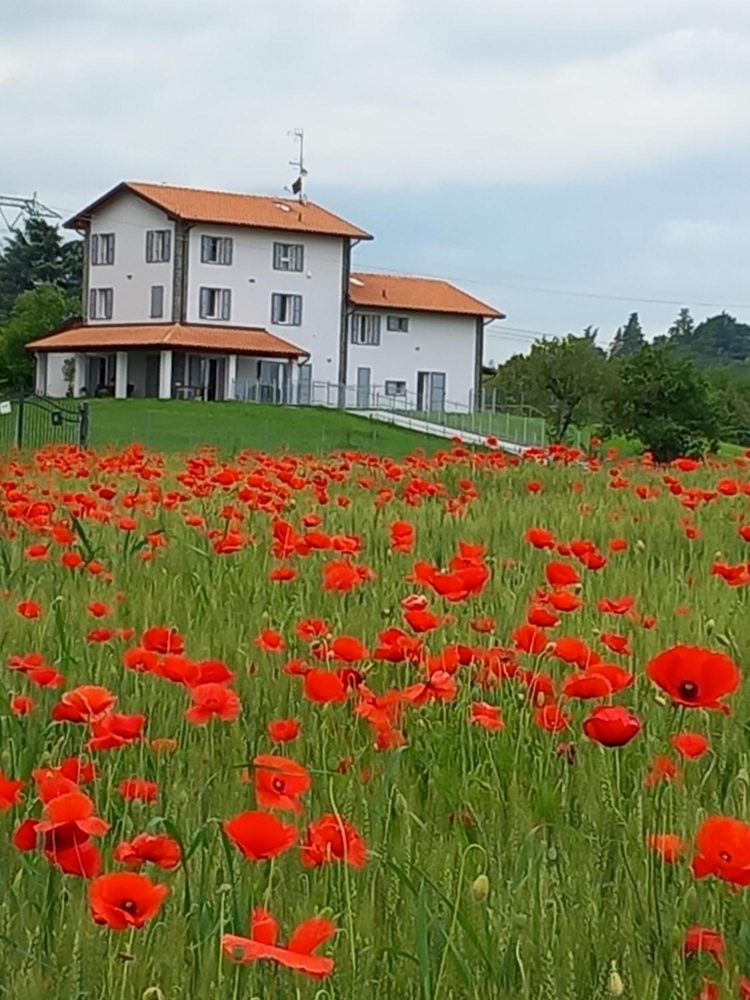 La Collinetta B&B Crespellano Kültér fotó